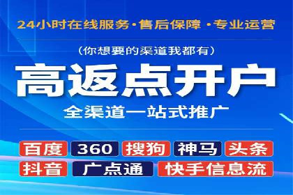 百度竞价广告投放策略：案例分析及优化建议